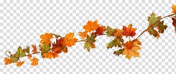 Orange leafed plant, Autumn Flower Season Ben Franklin Crafts and Frame Shop Window, autumn transparent background PNG clipart