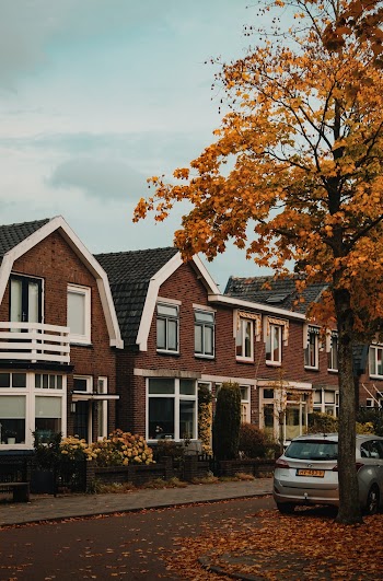 Orange Leafed Trees and Brown Houses