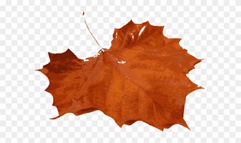 Orange Leaves Cliparts - Fall Leaf