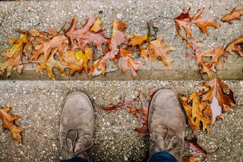 orange leaves on floor