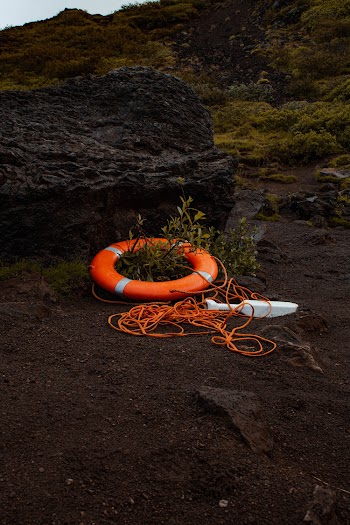Orange Life bouy on Plant