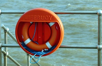 Orange Lifebuoy in Case