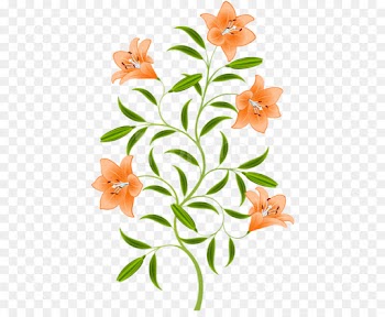 Orange Lily, Tiger Lily, Easter Lily, Flower, Plant PNG