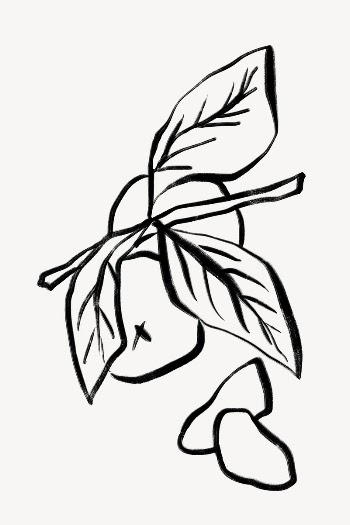 Orange line art, fruit doodle | Free Photo - rawpixel
