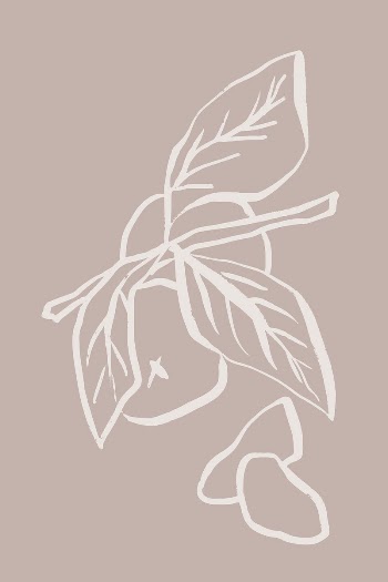 Orange line art, fruit doodle | Free Photo - rawpixel