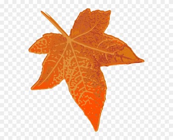Orange Maple Leaf Clip Art