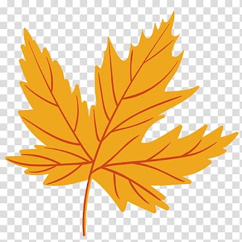 Orange maple leaf illustration transparent background PNG clipart