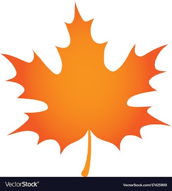 Orange maple leaf vector image