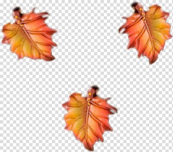 Orange Maple, orange transparent background PNG clipart