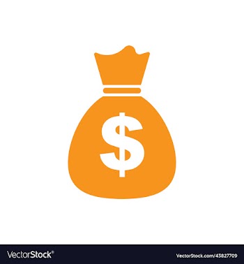 orange money bag solid icon