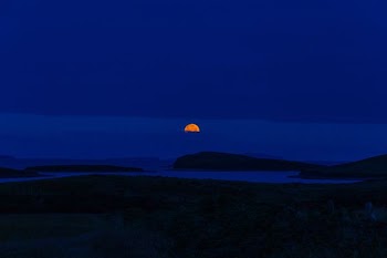 orange moon during nighttime