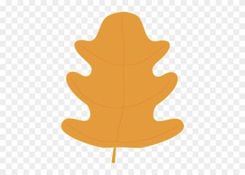 Orange Oak Fall Leaf - Oak Leaf Clip Art Png