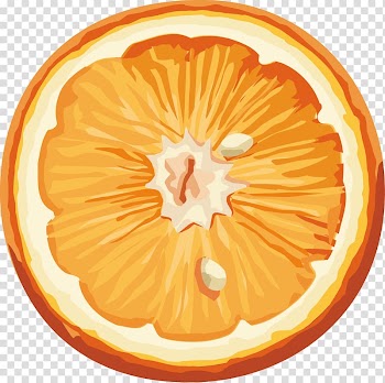 Orange , Orange , free transparent background PNG clipart