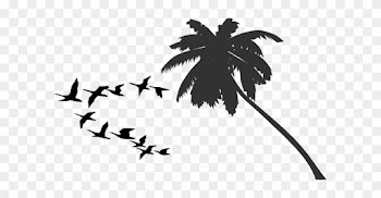 Orange Palm Tree Logo