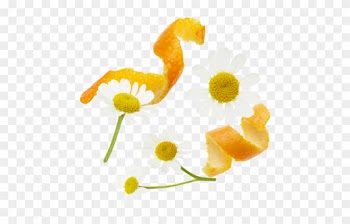 Orange Peels, Chamomile Flowers, Rosehips Peels, Lemongrass, - Chamomile