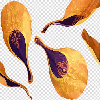 Orange Petal, Orange vintage decorative petals transparent background PNG clipart
