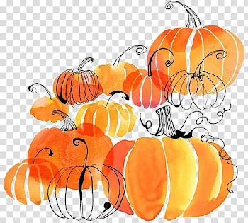 Orange pumpkin , Autumn Harvest festival Thanksgiving Flyer, pumpkin transparent background PNG clipart