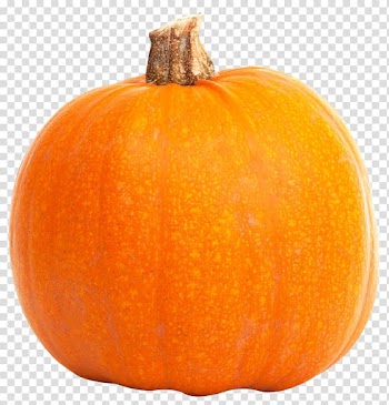 Orange pumpkin illustration, Jack-o-lantern Calabaza Gourd Winter squash Orange, Fresh Orange Pumpkin transparent background PNG clipart