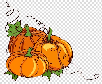 Orange pumpkin illustration, Wedding invitation Thanksgiving , Thanksgiving pumpkin vine hand-painted illustration transparent background PNG clipart