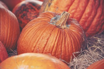 Orange Pumpkins