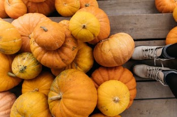 Orange Pumpkins on Brown Wooden Crate · Free Stock Photo