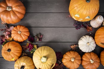 Orange Pumpkins on Gray Wooden Surface