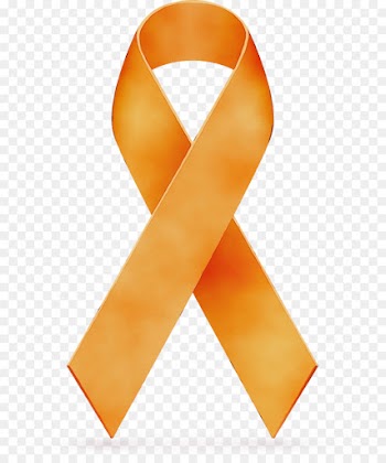 Orange Ribbon, Mandarin Orange, Orange, Yellow PNG