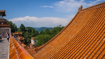 Orange Roof