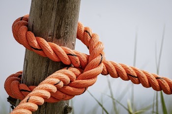 Orange Rope Wrapped Brown Wood Log