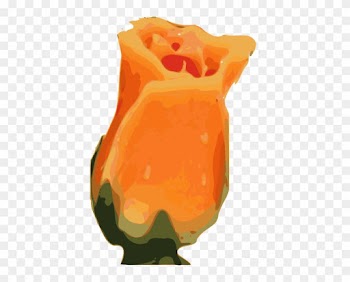 Orange Rose Bud Clipart