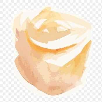 Orange rose flower transparent png watercolor sticker