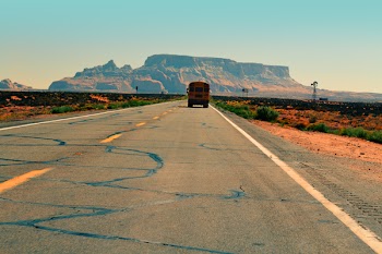 Orange School Bus on Road Near Bushes Under Blue Sky