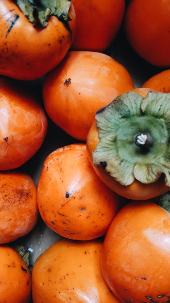 Orange Sharon Fruit Lot