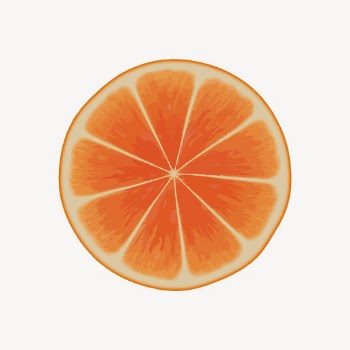 Orange slice clipart, fruit illustration | Free Vector - rawpixel