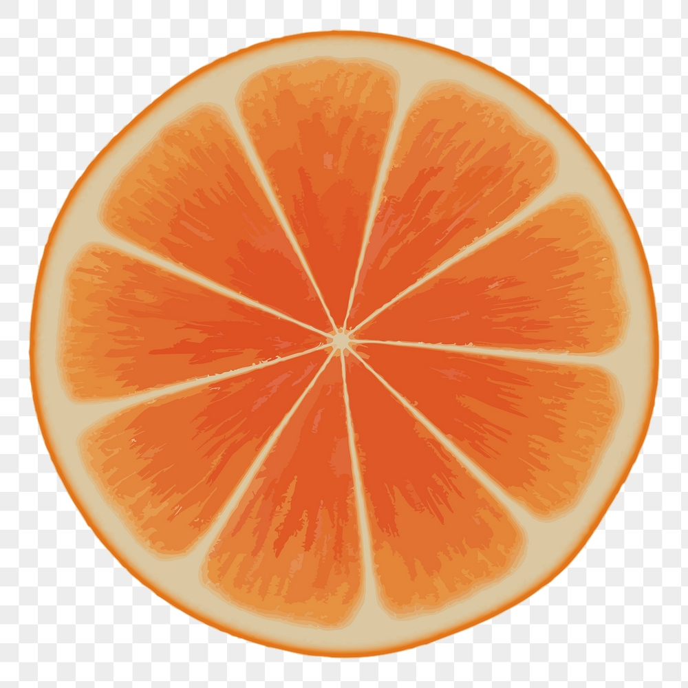 Orange slice png sticker, fruit | Free PNG - rawpixel