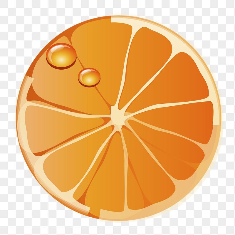 Orange slice png sticker, fruit | Free PNG - rawpixel