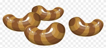 Orange Snake Cliparts 24, Buy Clip Art - Food