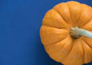 Orange Squash
