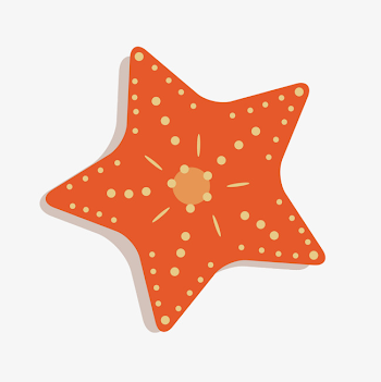 Orange Starfish, Orange, Starfish, Dot PNG and Vector for Free Download