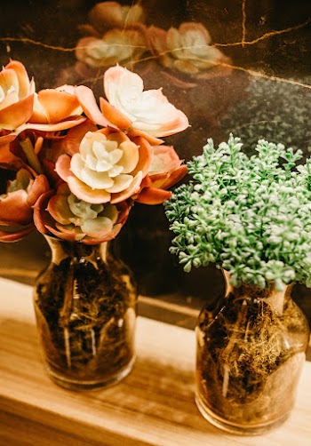 Orange Succulent Plant In Vase