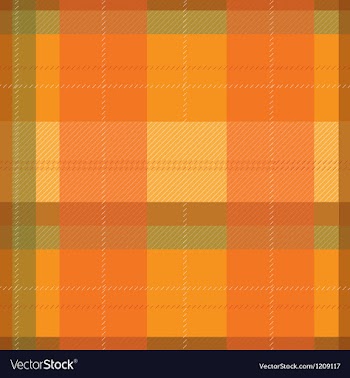 Orange Tartan Plaid Pattern vector image
