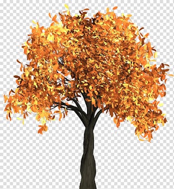 Orange tree, Autumn leaf color Tree, Autumn Tree transparent background PNG clipart