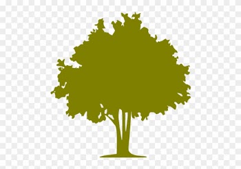 Orange Tree Icon