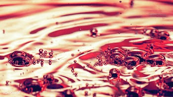 Orange water background with bubbles | Free  photo - 2321431