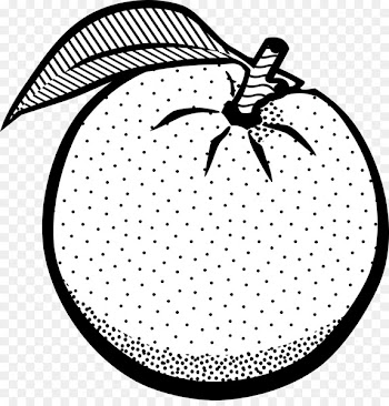 Orange White Fruit Black Clip art - persimmon 