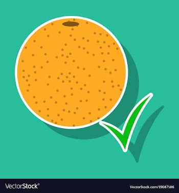 Orange whole of orange vector image