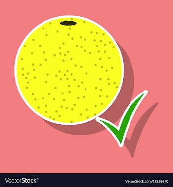 Orange whole of orange vector image