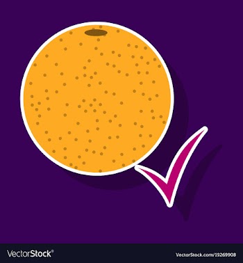Orange whole of orange vector image