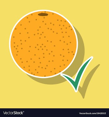 Orange whole of orange vector image
