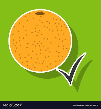 Orange whole of orange vector image